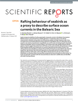 Rafting Behaviour of Seabirds As a Proxy to Describe Surface Ocean Currents in the Balearic Sea Received: 7 June 2018 A