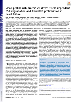 Small Proline-Rich Protein 2B Drives Stress-Dependent P53 Degradation and Fibroblast Proliferation in Heart Failure