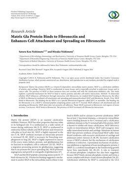 Matrix Gla Protein Binds to Fibronectin and Enhances Cell Attachment and Spreading on Fibronectin