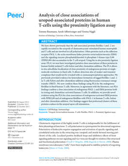 Analysis of Close Associations of Uropod-Associated Proteins in Human T-Cells Using the Proximity Ligation Assay