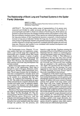 Family Uloboridae the Refationship of Book Lung and Tracheal Systems in the Spider