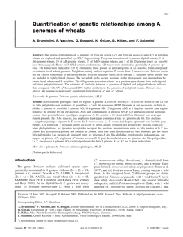 Quantification of Genetic Relationships Among a Genomes of Wheats