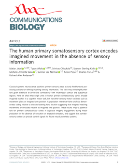 The Human Primary Somatosensory Cortex Encodes Imagined Movement in the Absence of Sensory Information