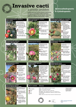 Cylindropuntia & Cylindropuntia Invasive Cacti Are a Serious Threat to Biodiversity and Agricultural Systems Within Australian Rangeland Regions