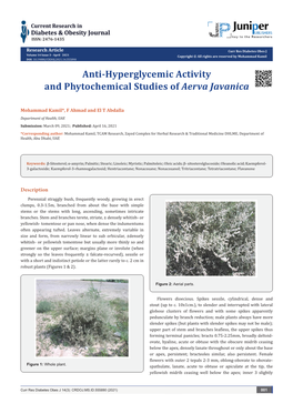 Anti-Hyperglycemic Activity and Phytochemical Studies of Aerva Javanica