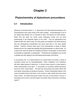 6.Aptosimum Literature Chapter 2