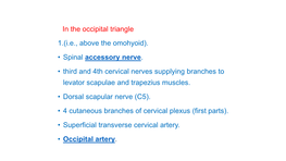 In the Occipital Triangle 1.(I.E., Above the Omohyoid). • Spinal Accessory Nerve