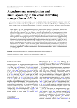 Asynchronous Reproduction and Multi-Spawning in the Coral