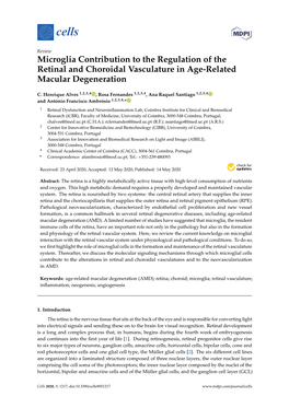 Microglia Contribution to the Regulation of the Retinal and Choroidal Vasculature in Age-Related Macular Degeneration