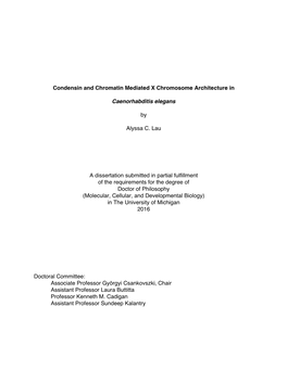 Condensin and Chromatin Mediated X Chromosome Architecture In