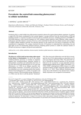 Ferredoxin: the Central Hub Connecting Photosystem I to Cellular Metabolism