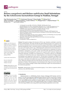 Bulinus Senegalensis and Bulinus Umbilicatus Snail Infestations by the Schistosoma Haematobium Group in Niakhar, Senegal