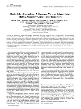 Elastic Fiber Formation: a Dynamic View of Extracellular Matrix Assembly Using Timer Reporters