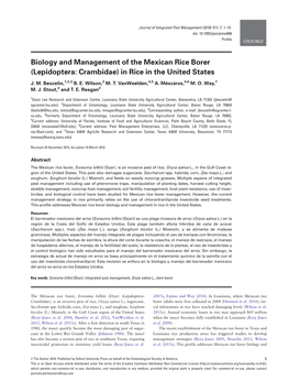 Biology and Management of the Mexican Rice Borer (Lepidoptera: Crambidae) in Rice in the United States