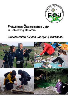 Freiwilliges Ökologisches Jahr in Schleswig Holstein Einsatzstellen Für Den Jahrgang 2021/2022