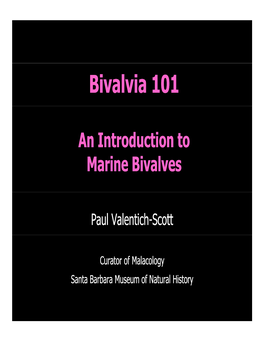 Bivalvia 101