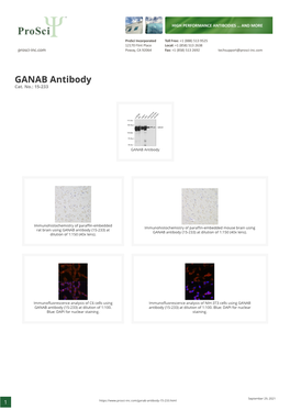 GANAB Antibody Cat