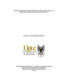 Modelo Hidrogeológico Conceptual De La Mina De Sal De Nemocón, Contrato De Concesión Hiqo - 01