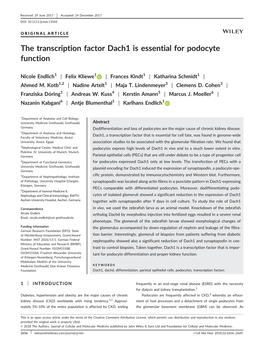 The Transcription Factor Dach1 Is Essential for Podocyte Function