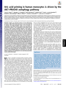 Uric Acid Priming in Human Monocytes Is Driven by the AKT–PRAS40 Autophagy Pathway