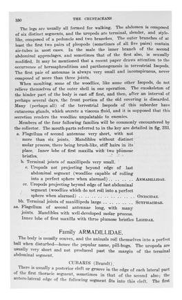 Family ARMADILLIDAE. the Body Is Usually Convex, and the Animals Roll Themselves Into a Perfect Ball When Disturbed—Hence the Popular Name, Pill-Bugs
