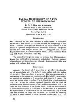 Floral Morphology of a Few Species of Euphorbiaceae by N