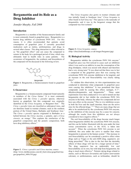 Bergamottin and Its Role As a Drug Inhibitor