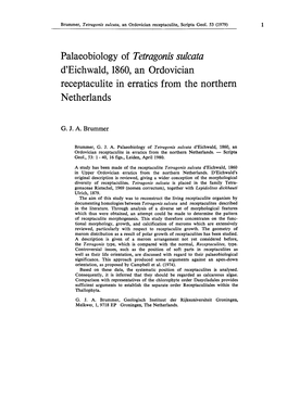 Palaeobiology of Tetragonis Sulcata D'eichwald, 1860, an Ordovician Receptaculite in Erratics from the Northern Netherlands