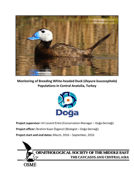 Monitoring of Breeding White-Headed Duck (Oxyura Leucocephala) Populations in Central Anatolia, Turkey