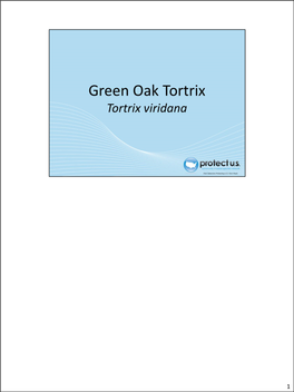 Greenoaktortrix.Pdf