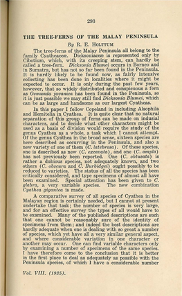THE TREE-FERNS of the MALAY PENINSULA the Tree-Ferns of The