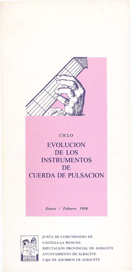 Evolucion De Los Instrumentos De Cuerda De Pulsacion