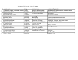 Hemiptera of St. Andrews University Campus