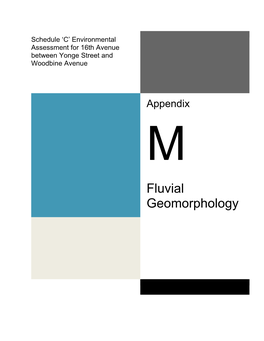 Fluvial Geomorphology