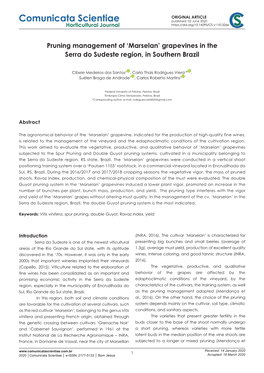 Pruning Management of 'Marselan' Grapevines in the Serra Do Sudeste