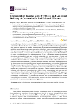 Chimerization Enables Gene Synthesis and Lentiviral Delivery of Customizable TALE-Based Eﬀectors