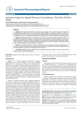 Agmatine Improves Spatial Memory