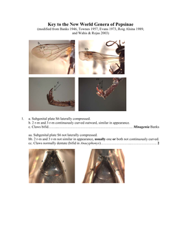 Pepsinae (Modified from Banks 1946, Townes 1957, Evans 1973, Roig Alsina 1989, and Wahis & Rojas 2003)