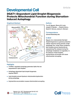 DGAT1-Dependent Lipid Droplet Biogenesis Protects Mitochondrial Function During Starvation- Induced Autophagy