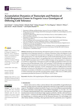 Accumulation Dynamics of Transcripts and Proteins of Cold-Responsive Genes in Fragaria Vesca Genotypes of Differing Cold Tolerance