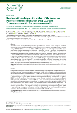 Bioinformatics and Expression Analysis of the Xeroderma