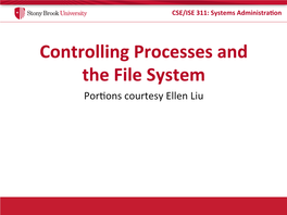 Controlling Processes and the File System