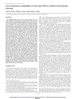 Inducibility of TAP1 and LMP2 in a Renal Cell Carcinoma Cell Line1