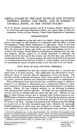 Aecial Stages of the Leaf Kusts of Rye, Puccinia Dispersa Erikss. and Henn.; and of Barley, P