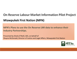 On Reserve Labour Market Information Pilot Project Miawpukek First Nation (MFN)