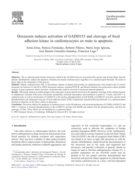 Doxazosin Induces Activation of GADD153 and Cleavage of Focal