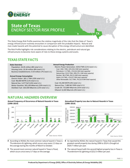 State of Texas ENERGY SECTOR RISK PROFILE