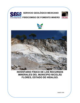 Inventario Minero De Nicols Flores