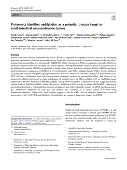 Proteomics Identifies Neddylation As a Potential Therapy Target in Small