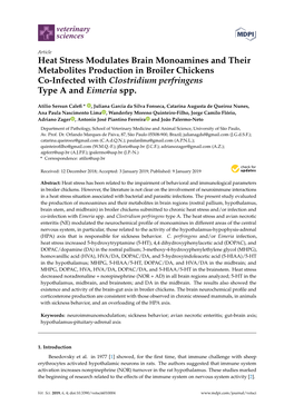 Heat Stress Modulates Brain Monoamines and Their Metabolites Production in Broiler Chickens Co-Infected with Clostridium Perfringens Type a and Eimeria Spp